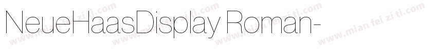 NeueHaasDisplay Roman字体转换